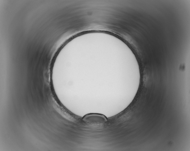 X0000114061372200911161119