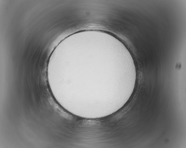 X0000114061374200911161119