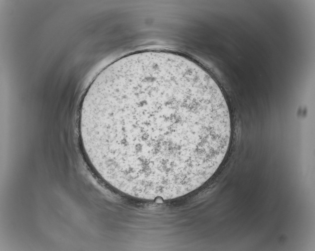 X0000114061375200911161119