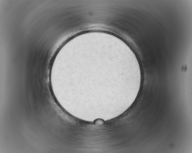 X0000114061376200911161119