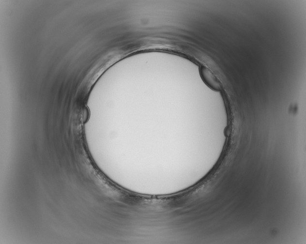 X0000114061377200911161119