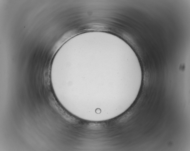 X0000114061378200911161119