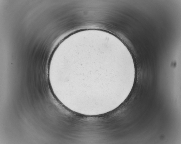 X0000114061380200911161119