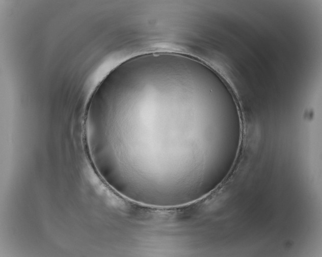 X0000114061381200911161119