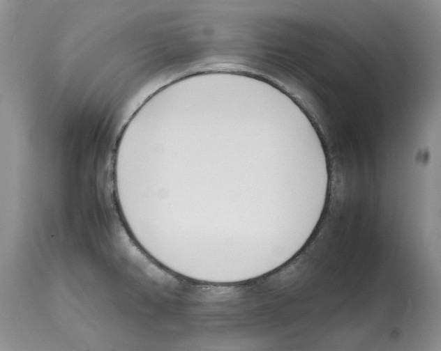 X0000114061382200911161119