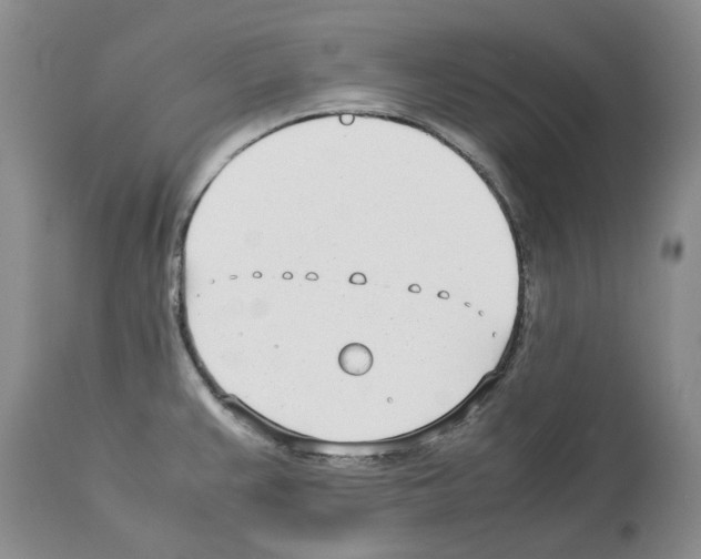 X0000114061383200911161119