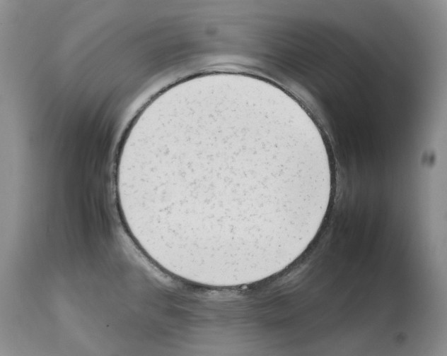 X0000114061384200911161119