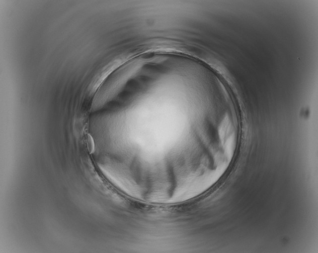 X0000114061385200911161119