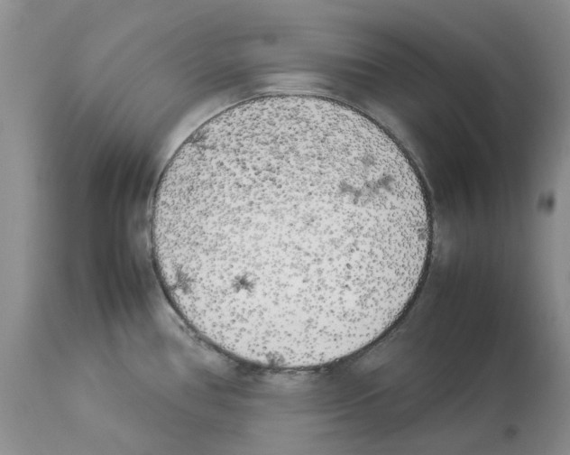 X0000114061386200911161119