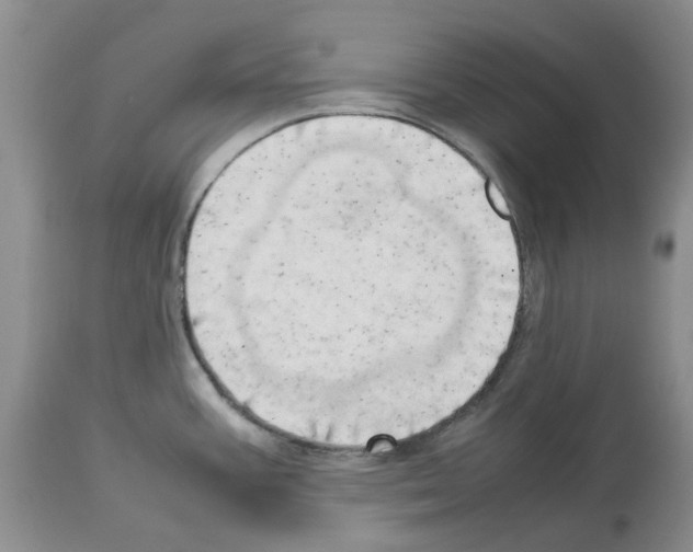 X0000114061387200911161118