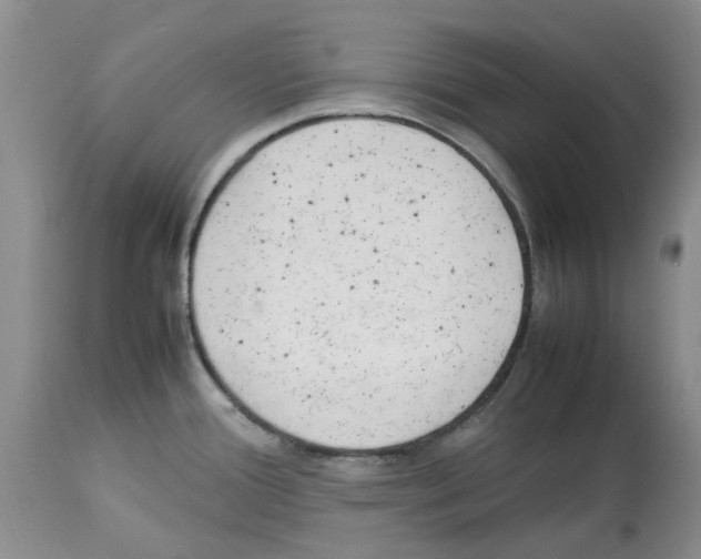 X0000114061388200911161118