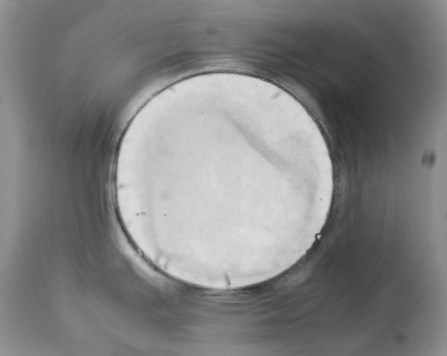 X0000114061391200911161118