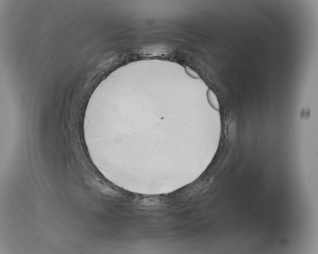 X0000114061393200911161118