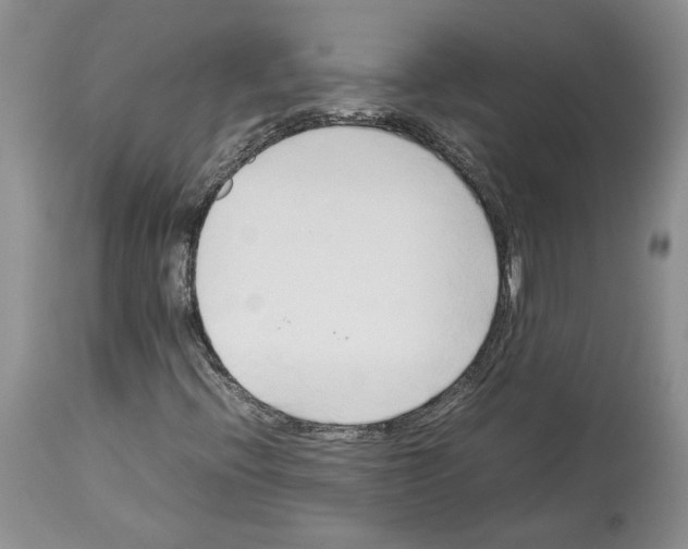 X0000114061396200911161118