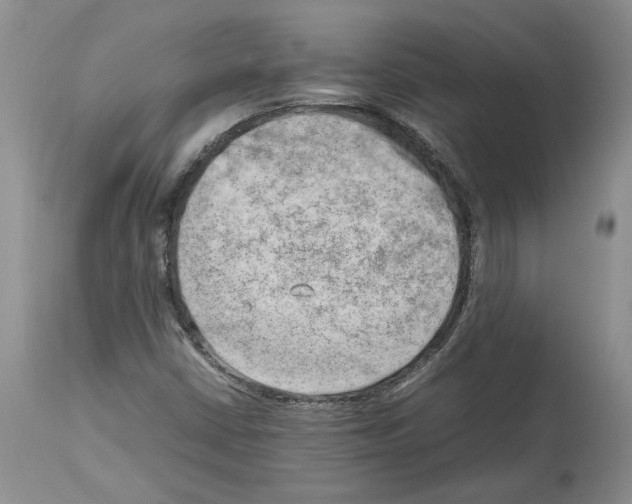 X0000114061402200911161118