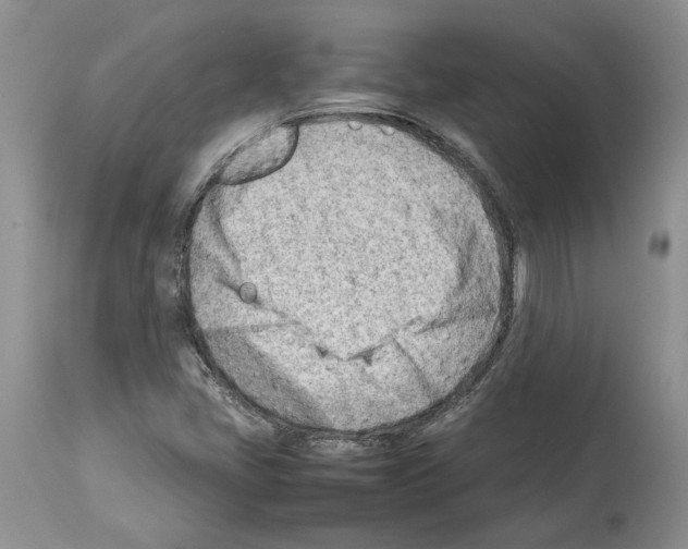 X0000114061405200911161118