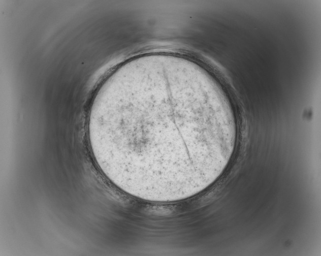 X0000114061411200911161118