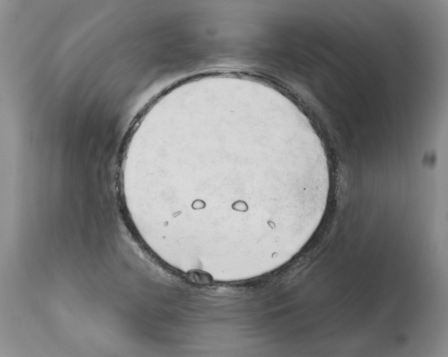 X0000114061412200911161118