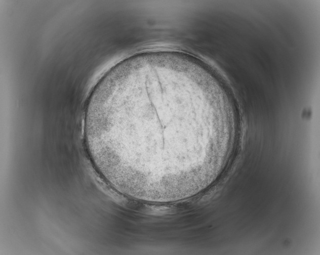 X0000114061413200911161118