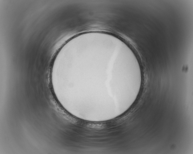 X0000114061415200911161118