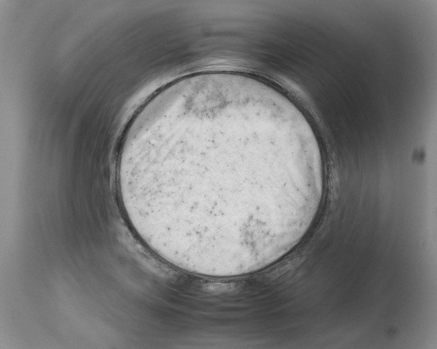 X0000114061419200911161118