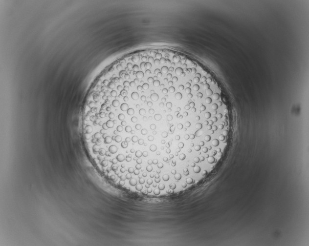 X0000114061420200911161118