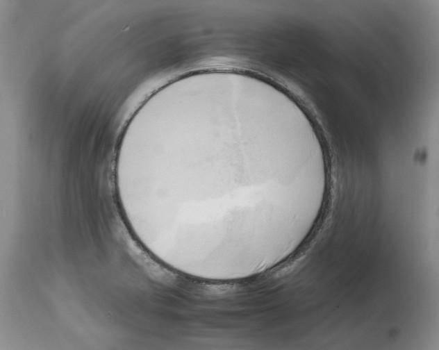 X0000114061421200911161118