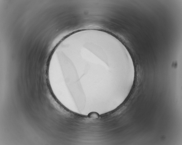 X0000114061422200911161118