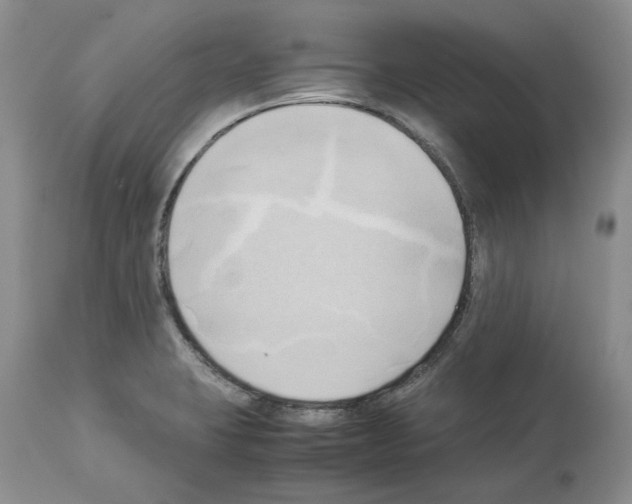 X0000114061423200911161118