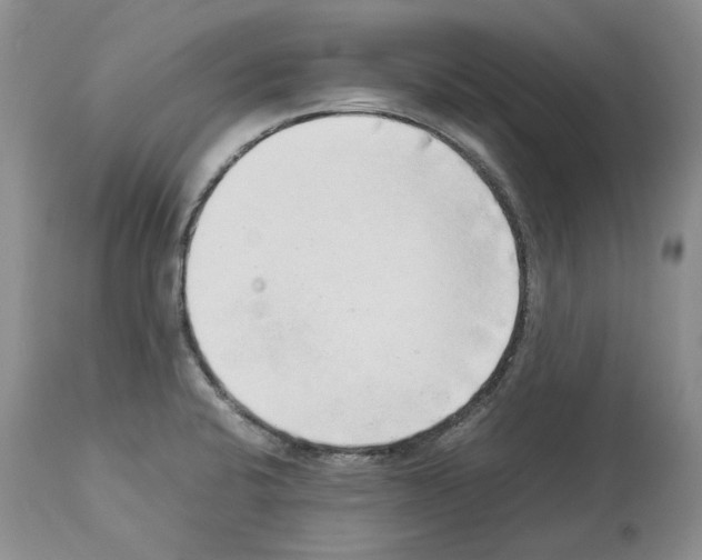 X0000114061424200911161118