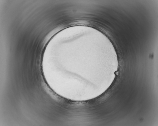 X0000114061426200911161118