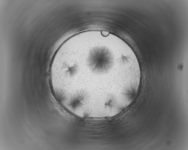 X0000114061427200911161118