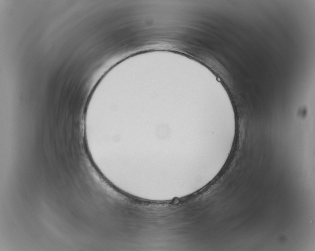 X0000114061428200911161118