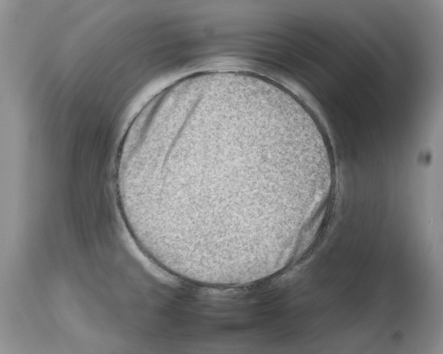 X0000114061429200911161118