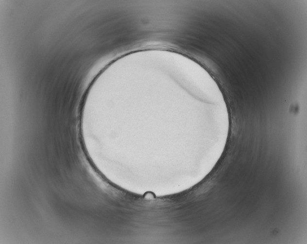 X0000114061430200911161118