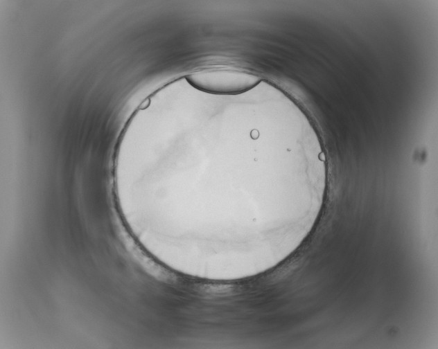 X0000114061431200911161118