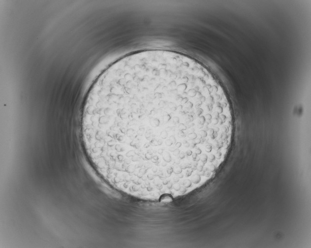 X0000114061432200911161118