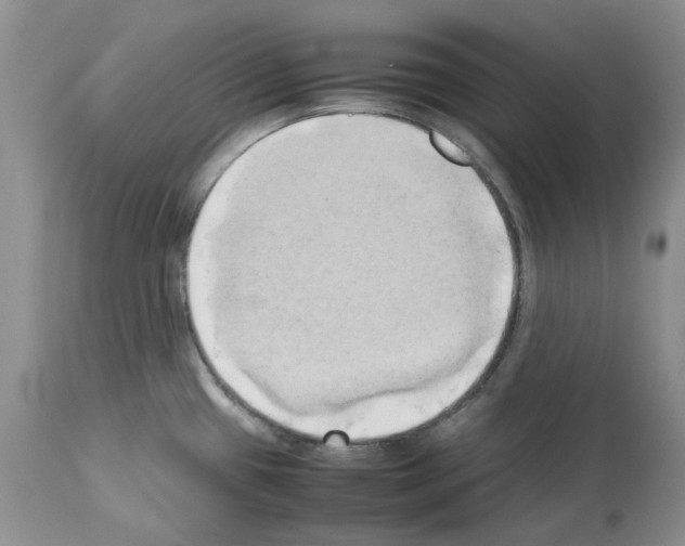 X0000114061433200911161118