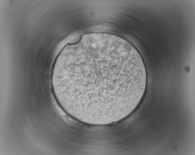 X0000114061434200911161118