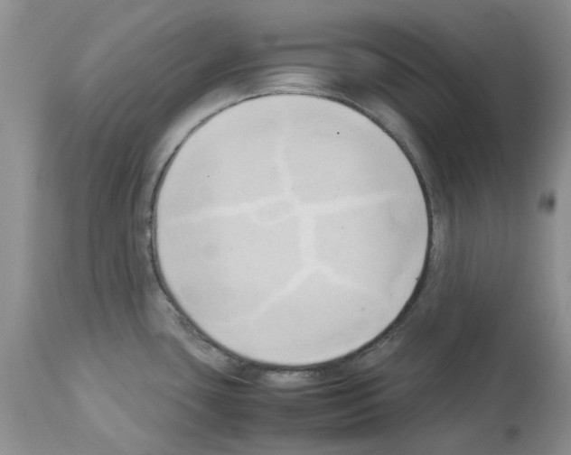 X0000114061435200911161118