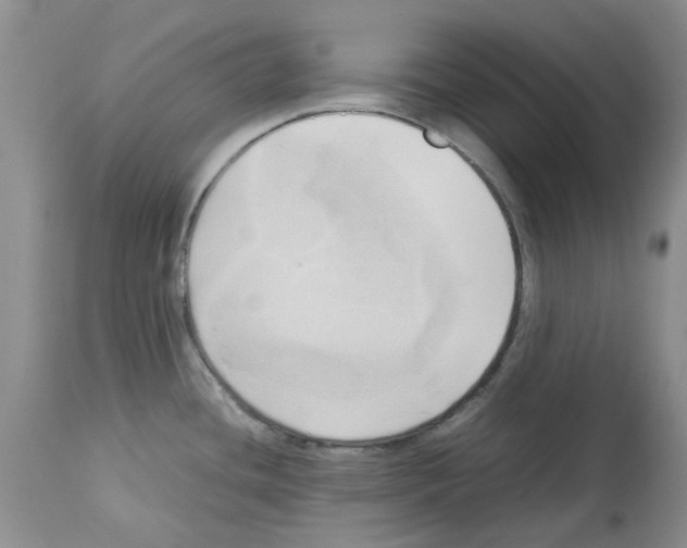 X0000114061436200911161118