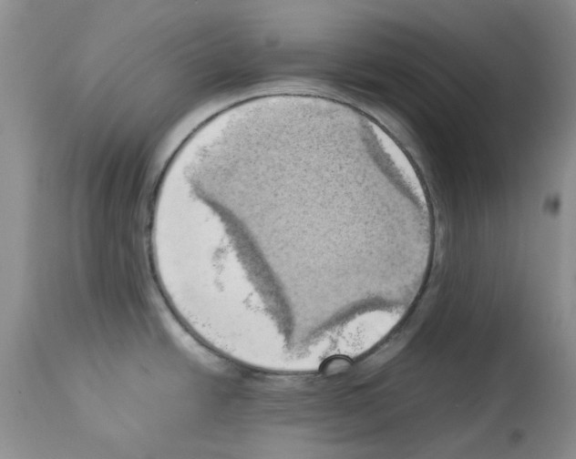 X0000114061438200911161118