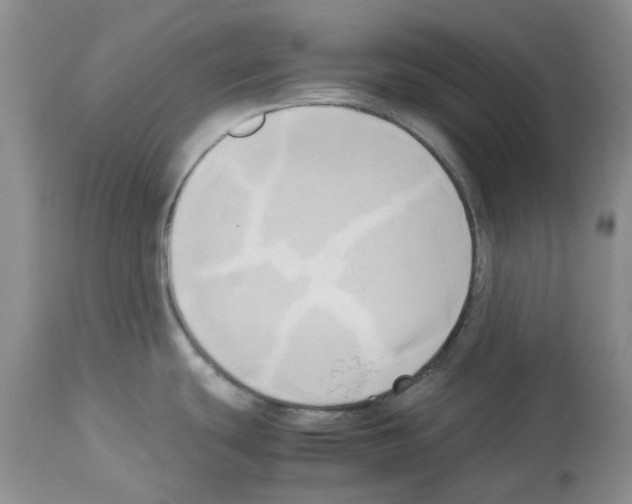 X0000114061439200911161118