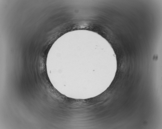 X0000114061442200911161118