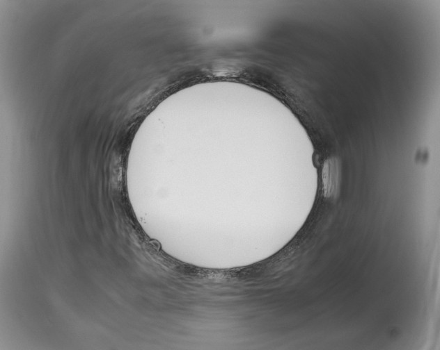 X0000114061443200911161118