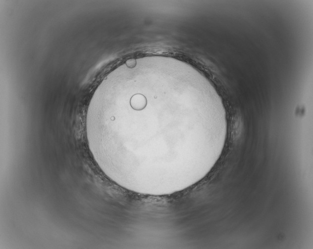 X0000114061446200911161118