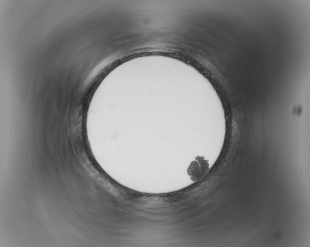 X0000114061450200911161118