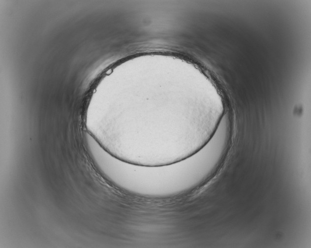 X0000114061453200911161118