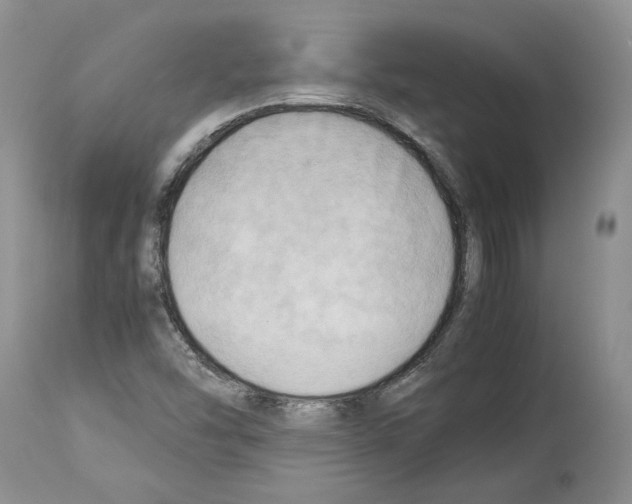 X0000114061454200911161118