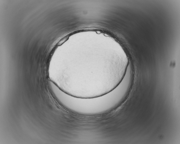 X0000114061457200911161118